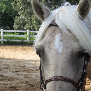 Meet your Posher, Nancy